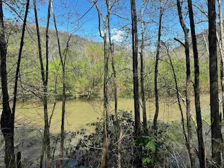 2482 Basil Hively Rd, Bomont, WV 25030