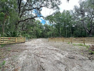 159ac W Highway 318, Reddick, FL 32686