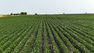 35451 K-4, Alta Vista, KS 66834