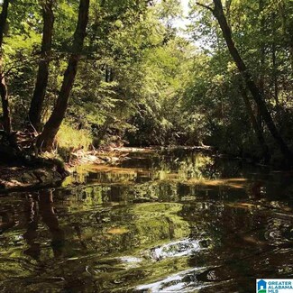 152 Acres County Road 42, Shelby, AL 35051