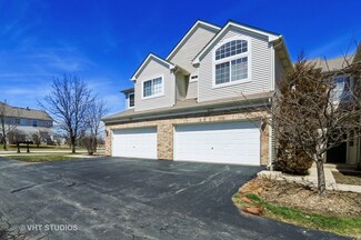 407 N Tower Dr Unit 1002, Hainesville, IL 60030