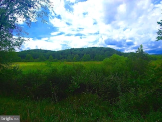 0 Bear Hill Rd, Oldtown, MD 21555