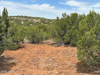 40 County Road 3048, Concho, AZ 85924