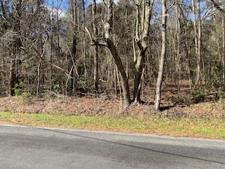 5037 Doctor Taylor Rd, Jericho, SC 29426