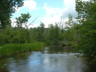 000 Riverside Dr, Stronach, MI 49660