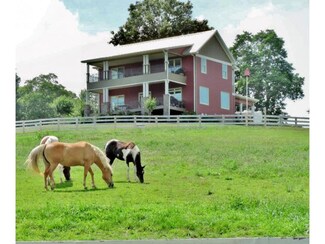 468 Double Springs Rd, Fall Branch, TN 37656