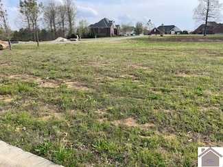 100 Falling Brook Dr, Paducah, KY 42003