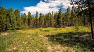 609 Mountain View Dr, Leadville, CO 80461