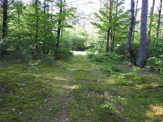 5206 Rugby Rd, Greig, NY 13345
