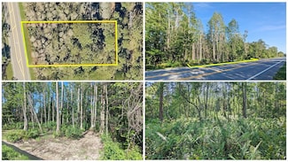 Vacant Land Florida 33, Clermont, FL 34714