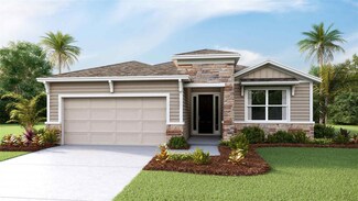 213 Bright Ibis Ave, Apollo Beach, FL 33572