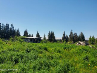 36082 Flintstone St, Anchor Point, AK 99556