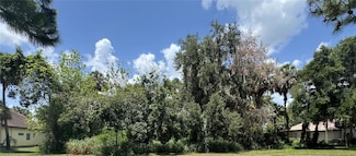 Lot K-14 Blue Heron Cir, Deer Island, FL 32778