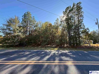 Lot  80 Holly Ave, McBee, SC 29101