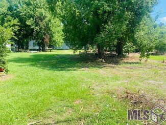 422 W Sparrow St, Gonzales, LA 70737
