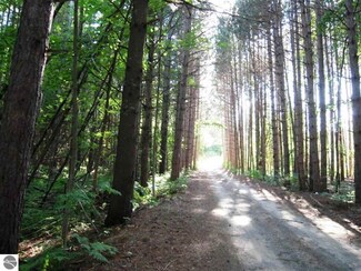 .. S Cedar Rd, Cedar, MI 49621