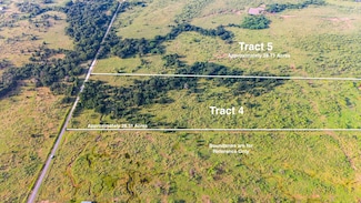 TBD 57.02 AC Boren Rd, Ringgold, TX 76261