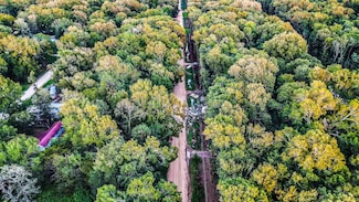 1001 Mudd St, Coldspring, TX 77331