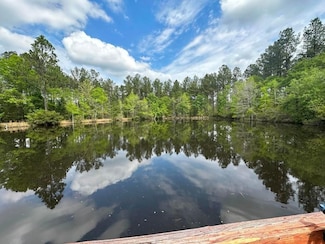 613 Rocky Knob Rd, Sylvania, GA 30467