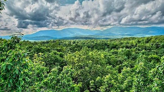 0 MT Mt McGruder Rd- 48 26 Acres, Ellijay, GA 30540