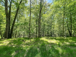 Lot 19 Brook Dr, Tusten, NY 12764