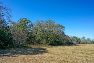Lot 2 County Road 229, Bedias, TX 77831