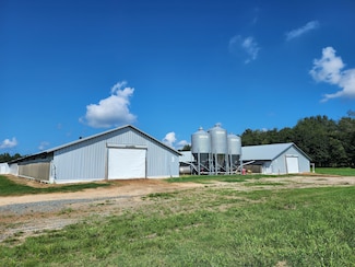 594 Daffodil, Pitts, GA 31072