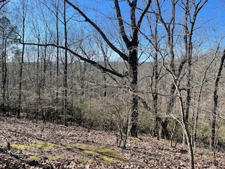 0 County Road 852 Unit 21222826, Heflin, AL 36264