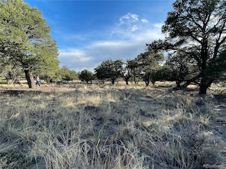 4446 Rarity Way, Crestone, CO 81131