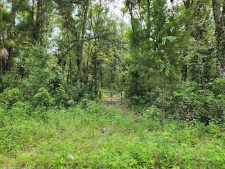 1996 NE 642nd St, Old Town, FL 32680