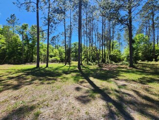 477 SW Paul Allison Ct, Lake City, FL 32024
