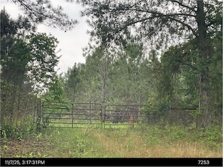 0 Broad St Unit 7688731, Sparta, GA 31087