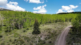 63 Pine Ridge Rd, Fairplay, CO 80440