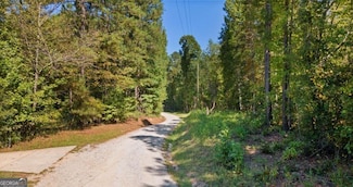 0 Steed Rd Unit 10519780, Chattahoochee Hills, GA 30213