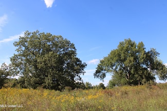 5300 Desoto Rd, Walls, MS 38680