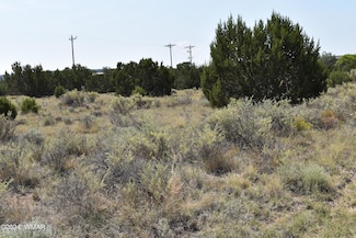 34 Alpine Ln, Concho, AZ 85924