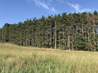 4421 Lake Rd, Lakeview, MI 48850