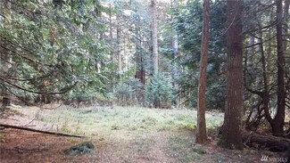 0 Eastsound Shores Unit 1039544, Eastsound, WA 98245