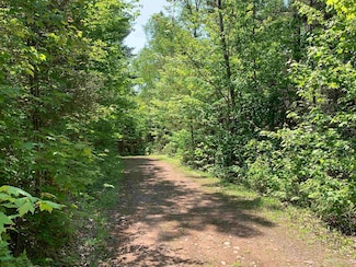TBD N River Dr, Gwinn, MI 49841