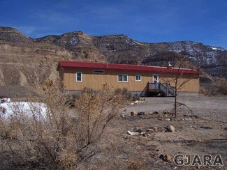 570 39 Rd, Palisade, CO 81526