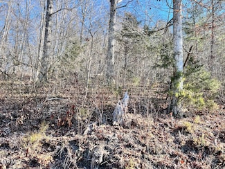 Tract 7 Bundren Mountain Rd, Tazewell, TN 37879