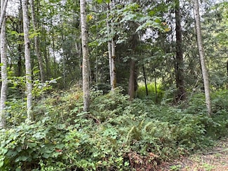 9 Xx Ne Winston Dr, Bremerton, WA 98311