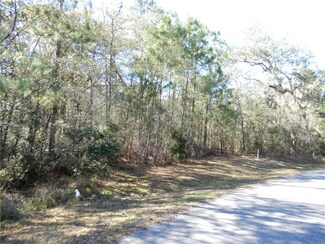 Lot 18 Sanderling Trace, Waverly, GA 31565
