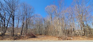 0 State Route 247 Unit 330308, Forest City, NY 18421