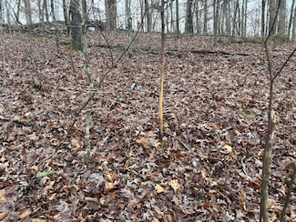 000 County Road 6388, Newburg, MO 65550