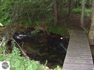 00 Finch Creek Rd, Alden, MI 49612