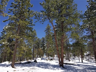 5325 S Hatch Dr Unit 40-42, Evergreen, CO 80439