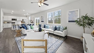4042 Brians Ln, Suffolk, VA 23434