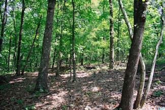 0 Mountain View Rd Unit 11, Talladega, AL 35160