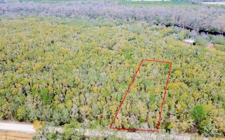 11 NE Tansy Road Lot 30, Mayo, FL 32066